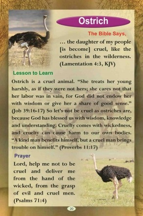 Ostrich in the Bible